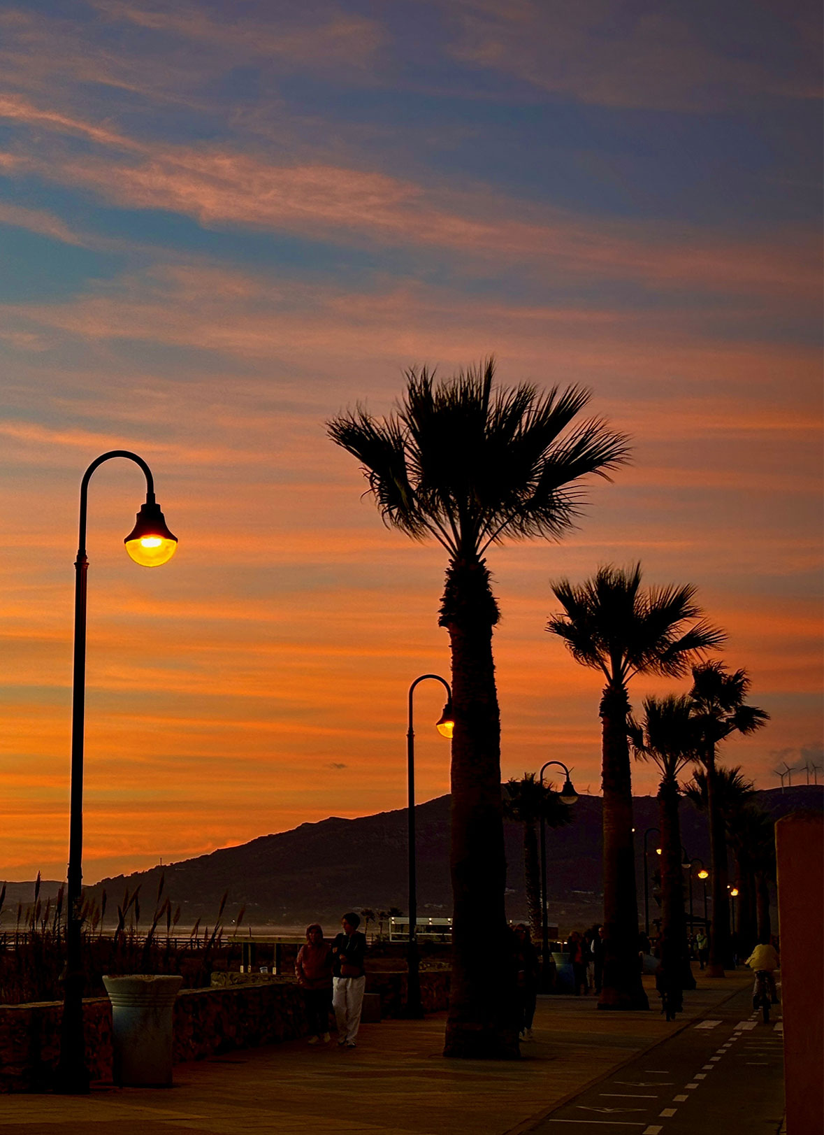 tarifa6